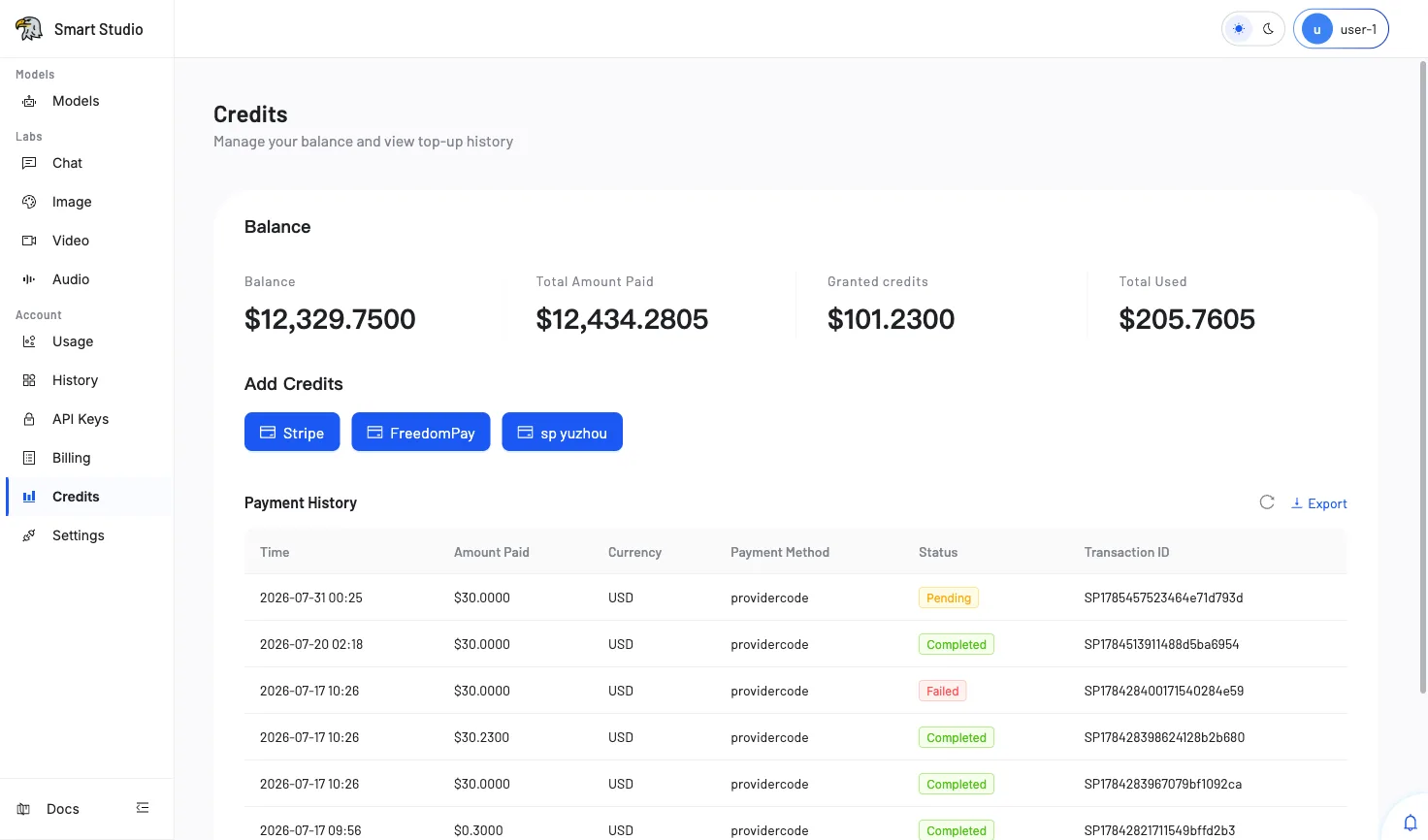 Account Credits — balance summary showing total paid, granted credits, total spent, plus three payment channels and recharge history